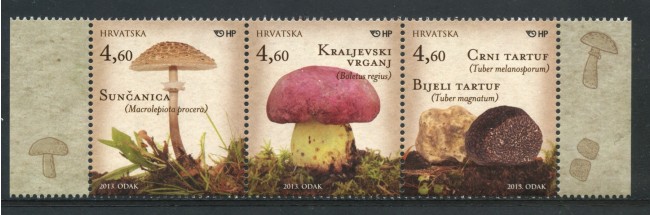 2013 - CROAZIA - FUNGHI  3v. - NUOVI - LOTTO/33188