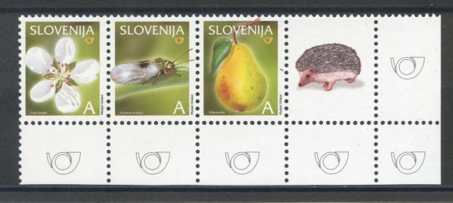 2005 - SLOVENIA - FRUTTA  PERA WILLIAMS 3v. - NUOVI - LOTTO/34287