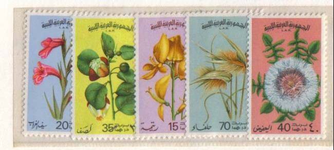 1976 - LBF/2563 - LIBIA - FIORI