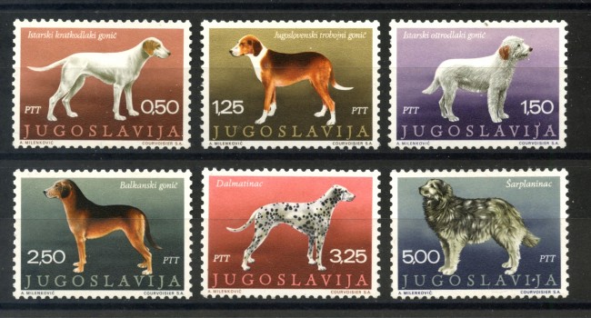 1970 - JUGOSLAVIA - CANI DI RAZZA  6v. NUOVI - LOTTO/34779