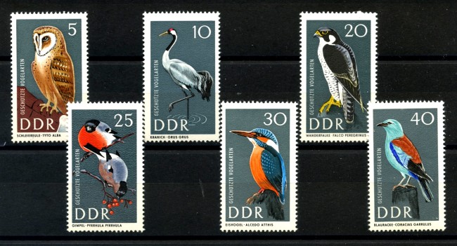 1967 - GERMANIA DDR - UCCELLI PROTETTI  6v. - NUOVI - LOTTO/36237