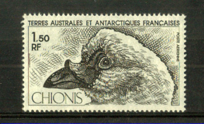 1981 - ANTARTICO FRANCESE - LOTTO/10438 - FAUNA CHIONIS POSTA AEREA - NUOVO