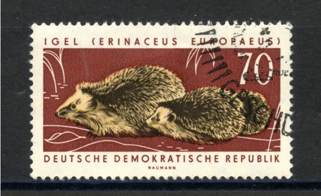 1963 - GERMANIA DDR - FAUNA I RICCI - USATO - LOTTO/36183