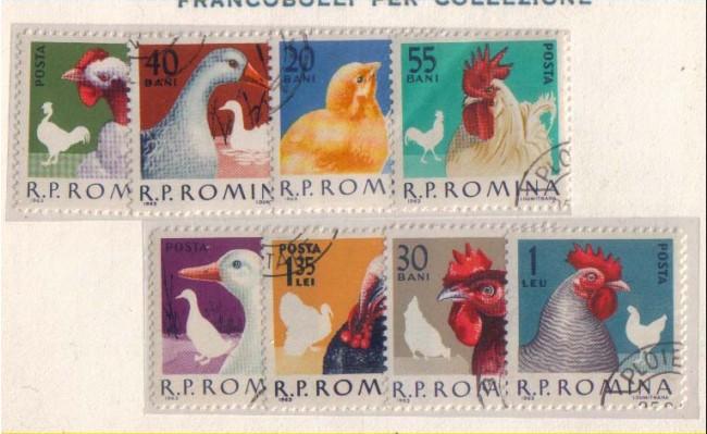 1963 - LOTTO/931 - ROMANIA - ANIMALI DA CORTILE