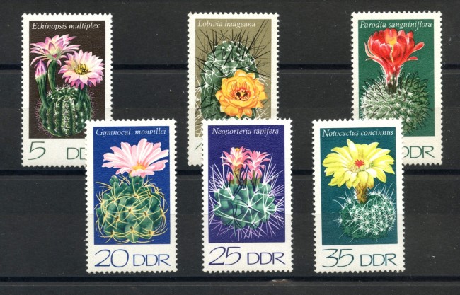 1974 - GERMANIA DDR - PIANTE CACTUS 6v.- NUOVI - LOTTO/36485