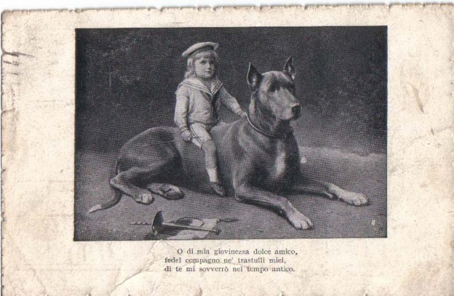 LBF/1135 CANE CON BAMBINO