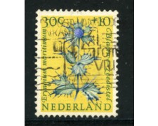 1960 - LOTTO/21297 - OLANDA - 30+10c. BENEFICENZA - USATO
