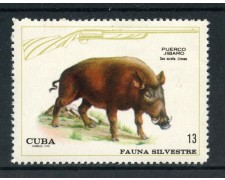 1970 - CUBA - 13c. FAUNA SILVESTRE CINGHIALE - NUOVO - LOTTO/27861 1970 - CUBA - 13c. FAUNA SILVESTRE CINGHIALE - NUOVO - LOTTO/27861