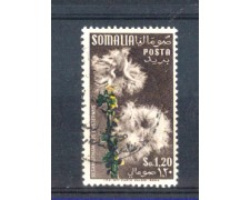 1955 - LOTTO/9854U - SOMALIA AFIS - 1,20 FIORI - USATO 1955 - LOTTO/9854U - SOMALIA AFIS - 1,20 FIORI - USATO