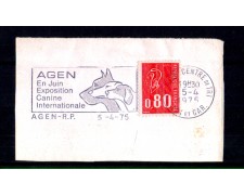 1975 - LOTTO/11451 - FRANCIA - AGEN ESPOSIZIONE CANINA - ANNULLO A TARGHETTA 1975 - LOTTO/11451 - FRANCIA - AGEN ESPOSIZIONE CANINA - ANNULLO A TARGHETTA