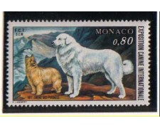 1977 - LOTTO/995 -  MONACO - ESPOSIZIONE CANINA