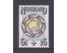 1976 - LOTTO/8896 - OLANDA - REUMATISMO 1976 - LOTTO/8896 - OLANDA - REUMATISMO