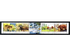 2006 - SERBIA MONTENEGRO - LOTTO/37698 - FAUNA PROTETTA 4v. - NUOVI 2006 - SERBIA MONTENEGRO - LOTTO/37698 - FAUNA PROTETTA 4v. - NUOVI