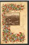 1906 - ITALIA - SIENA PANORAMA - CARTOLINA FLOREALE A COLORI - VIAGGIATA - LOTTO/25187