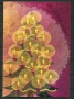 2007 - LOTTO/24343 - SVIZZERA - 1 Fr. NATALE - QUARTINA SU FOLDER AUGURALE POSTE