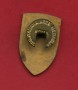 1903 - ROMA - LOTTO/M42292 - 1° CONGRESSO ARTIGIANATO - SPILLINO DA GIACCA