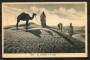 1940 - LIBIA - CARTOLINA POSTA MILITARE N° 123 - VIAGGIATA PER COMO - LOTTO/31080