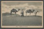1940 - LIBIA - CARTOLINA POSTA MILITARE N° 123 - VIAGGIATA PER COMO - LOTTO/31081