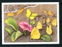 1992 - ST.VINCENT.- LOTTO/20228 - FARFALLE FOGLIETTO NUOVO